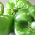 Green Pepper