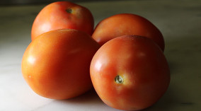 tomatoes